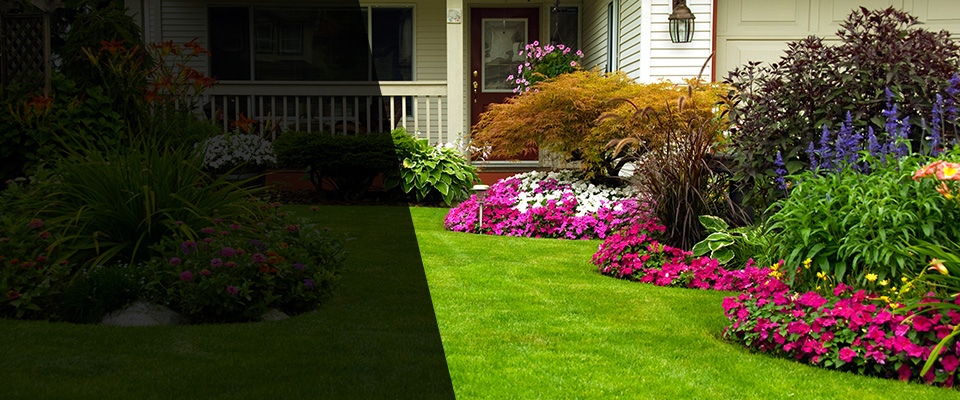 Saint Francis Landscapers